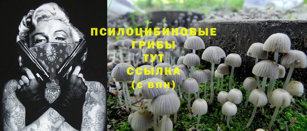 каннабис Алексеевка
