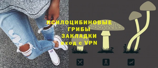 кокс Алексин