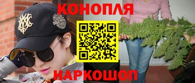 гидра Гагарин