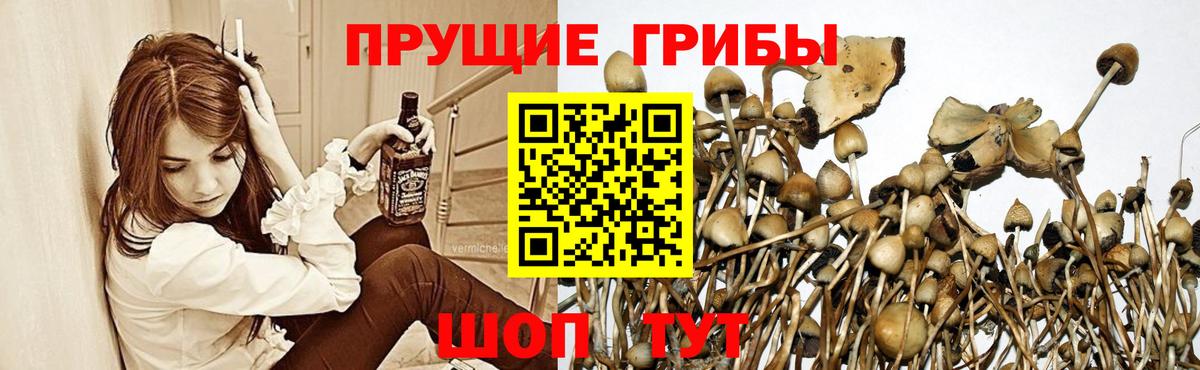 Псилоцибиновые грибы ЛСД Мирный